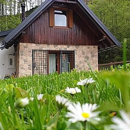 La Luna Delle Montagne Charme & Casa vacanze Tarvisio